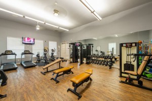 Two Bedroom Apartments for Rent in Conroe, TX - Fitness Center (2)         
